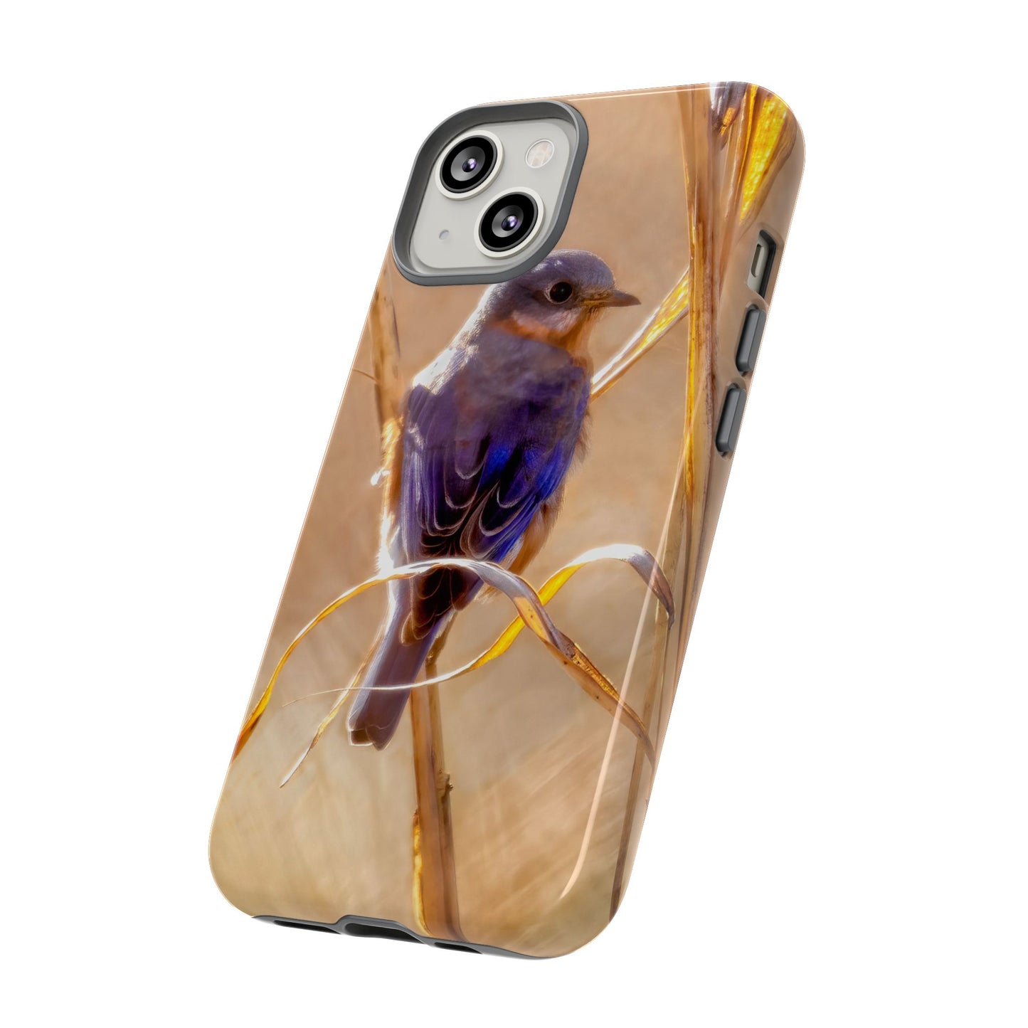 Eastern Bluebird - Tough Phone Case
