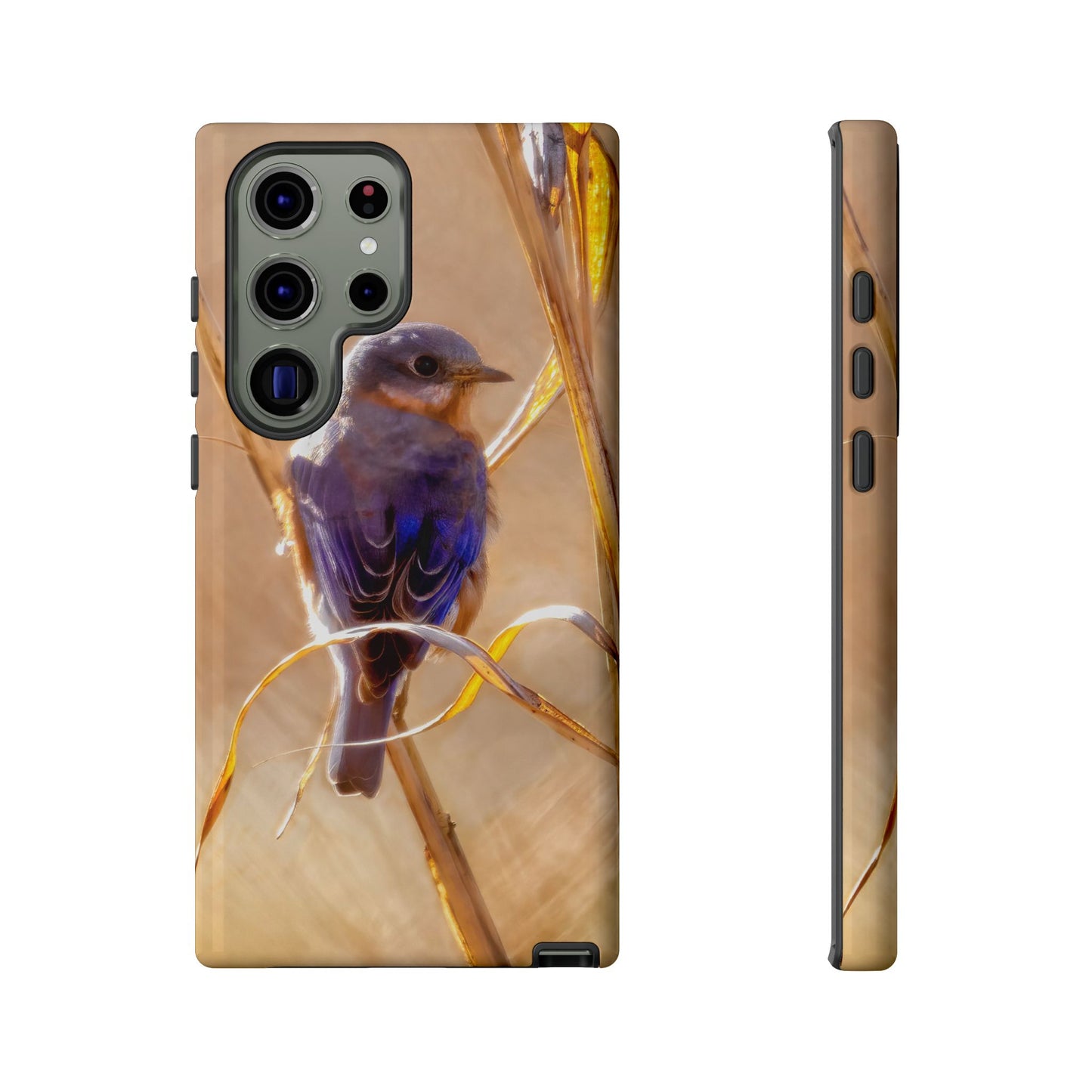 Eastern Bluebird - Tough Phone Case