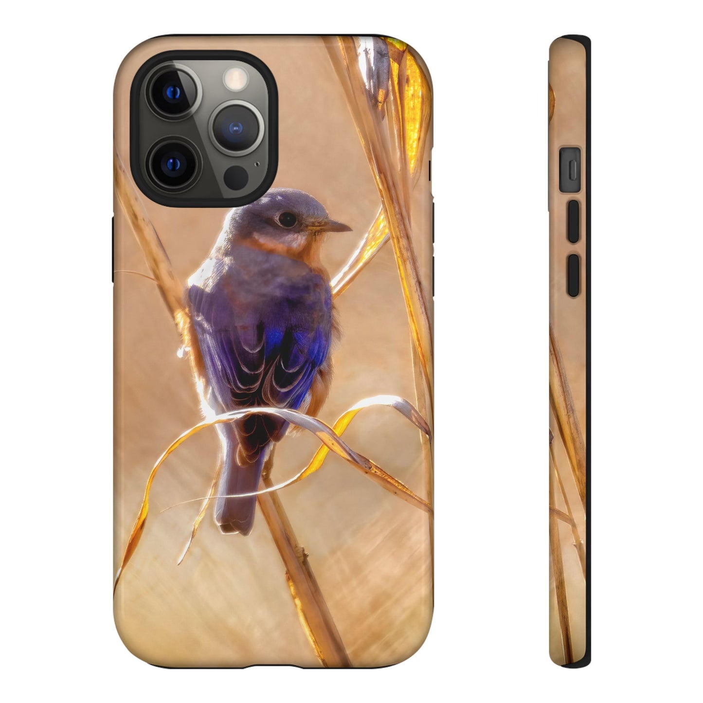 Eastern Bluebird - Tough Phone Case
