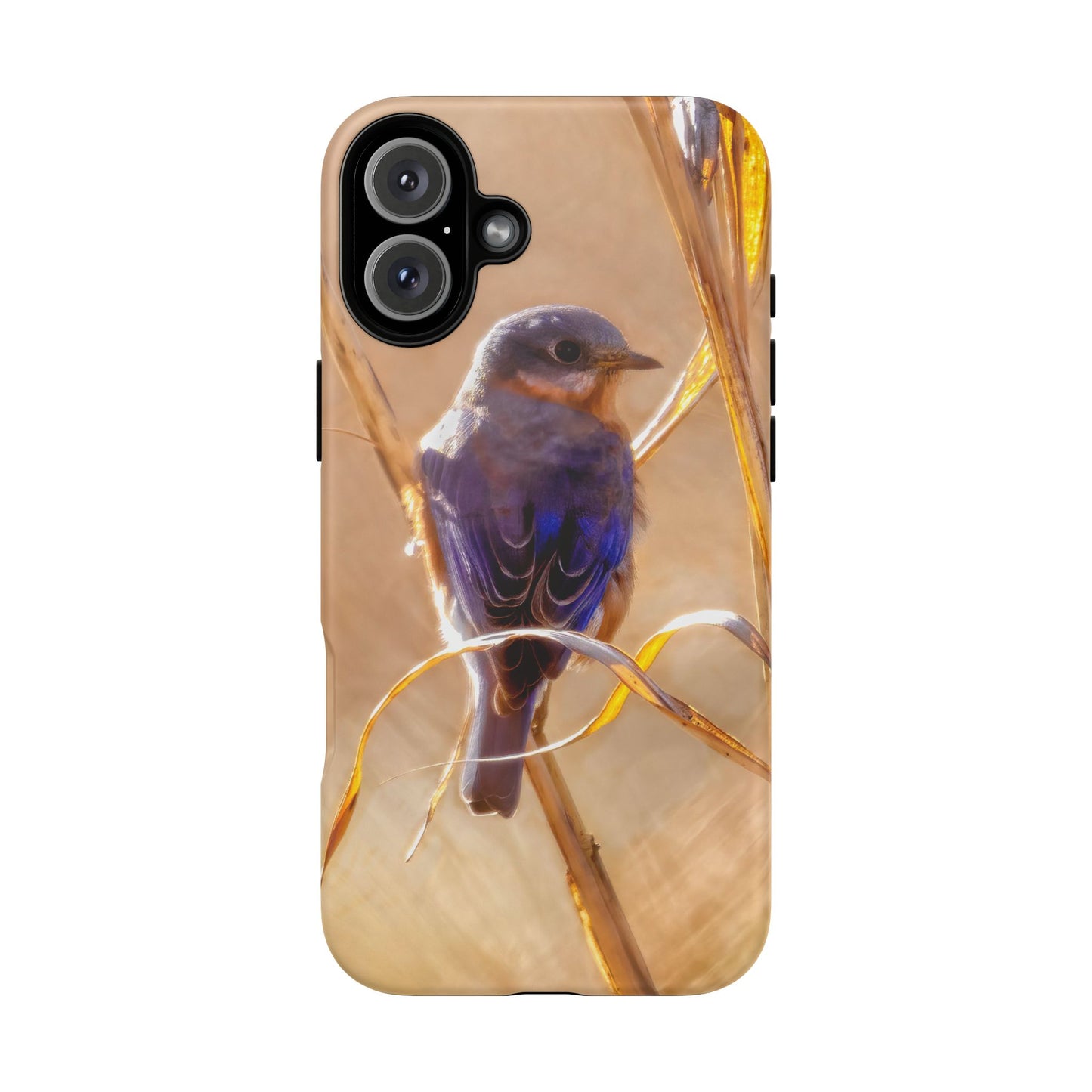 Eastern Bluebird - Tough Phone Case