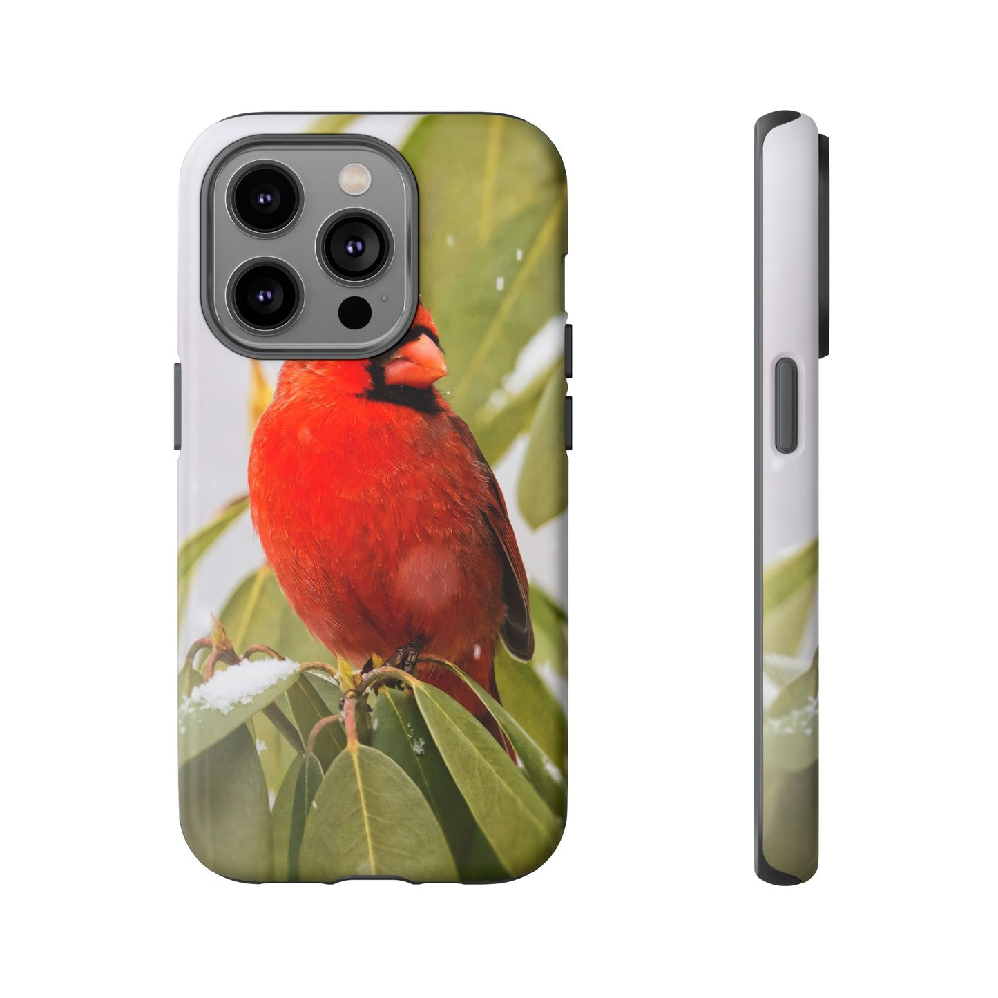 Male Cardinal - Tough Phone Case