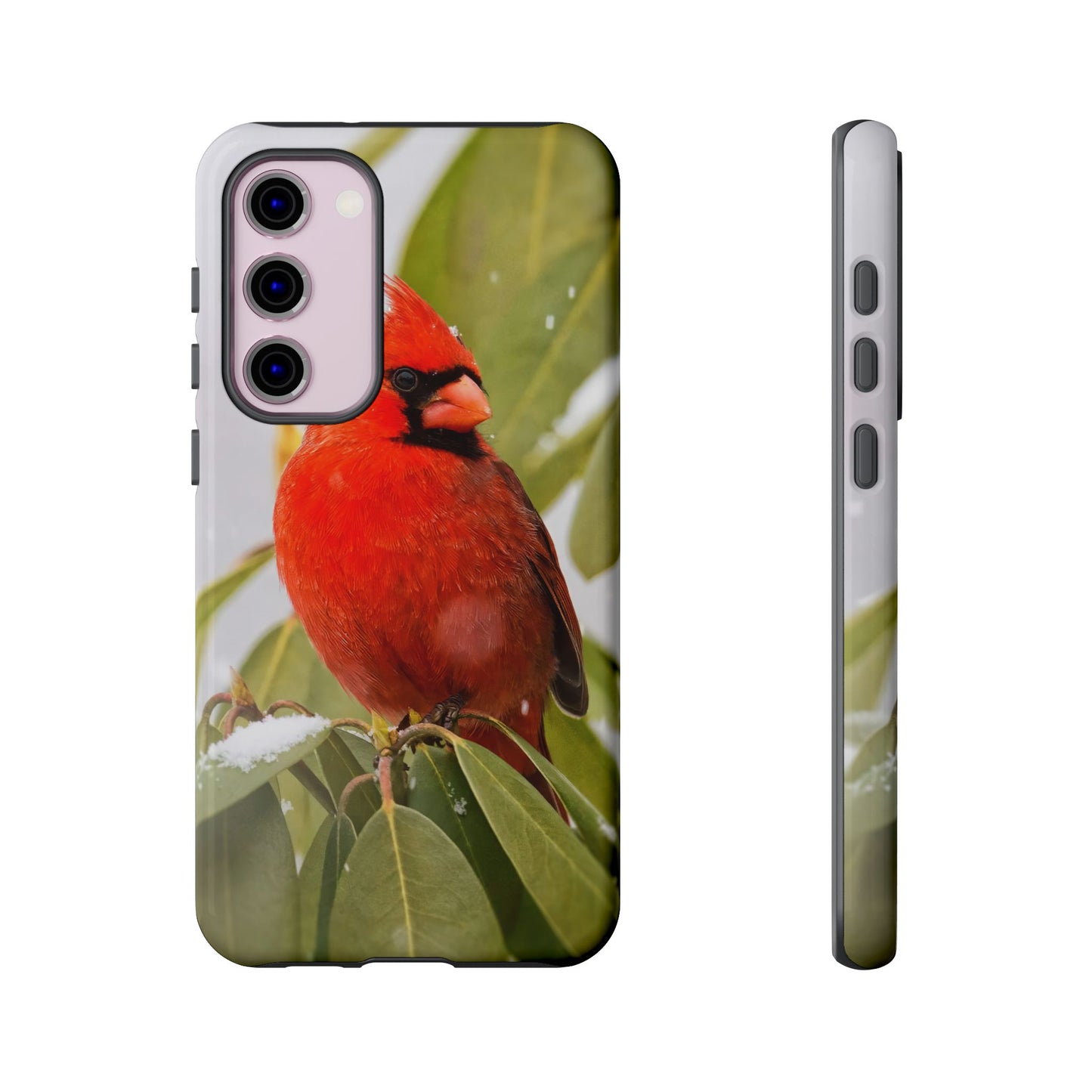 Male Cardinal - Tough Phone Case