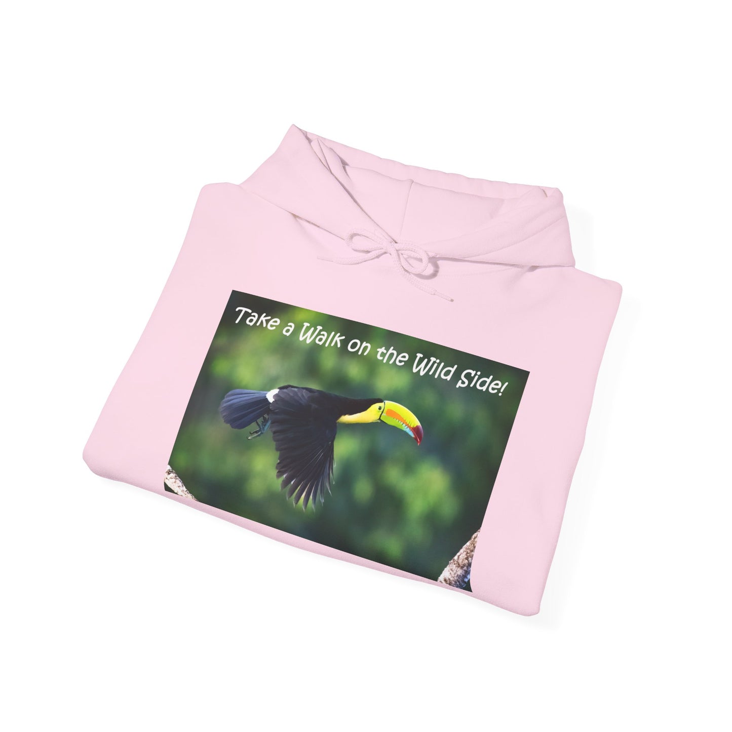 Keel-billed Toucan - Heavy Blend™ Hooded Sweatshirt