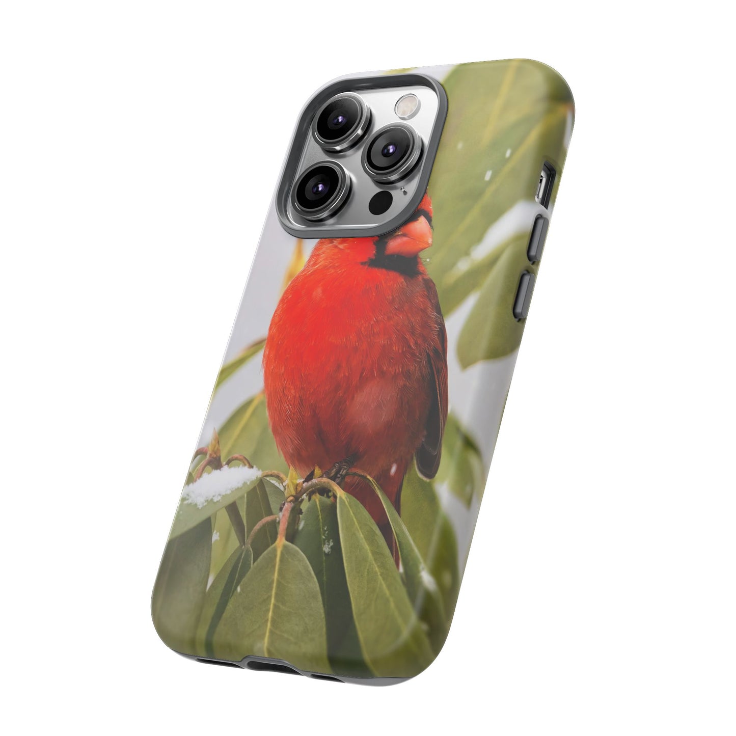 Male Cardinal - Tough Phone Case