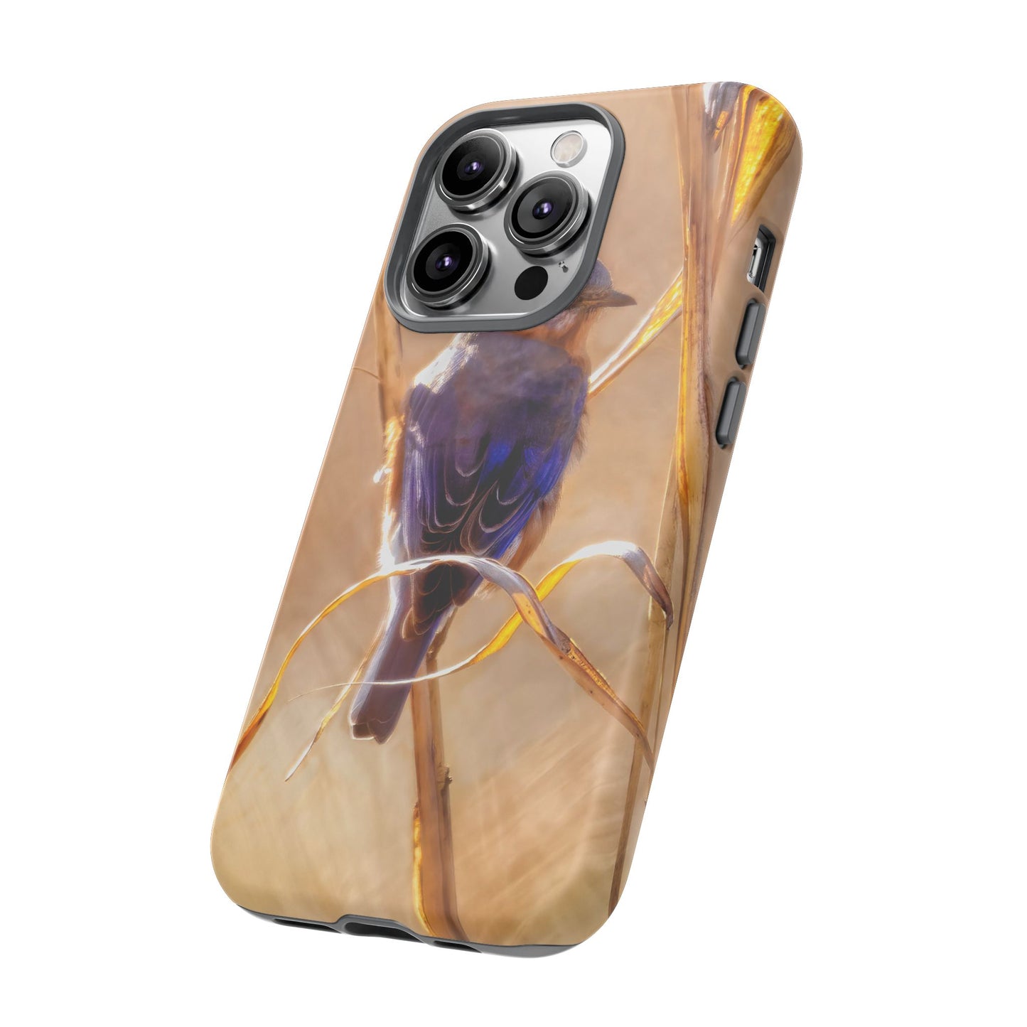 Eastern Bluebird - Tough Phone Case