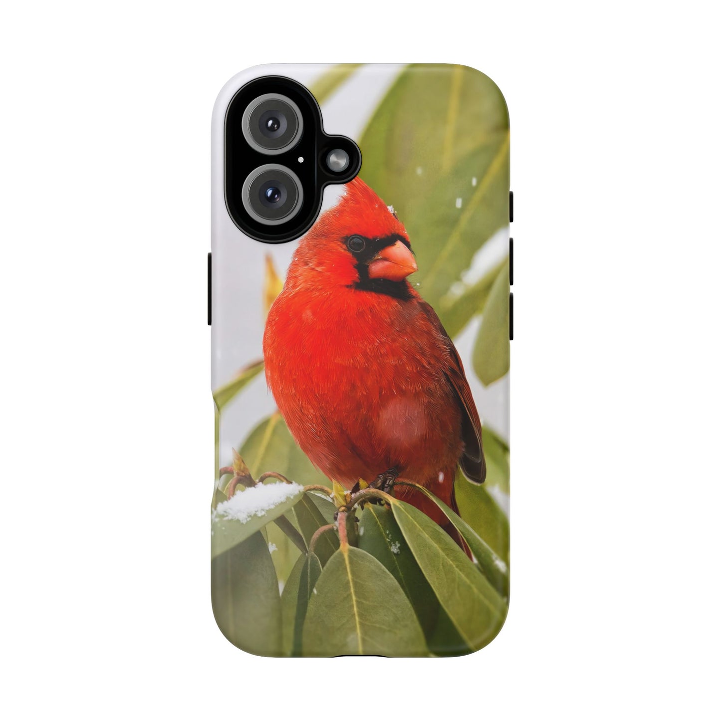 Male Cardinal - Tough Phone Case