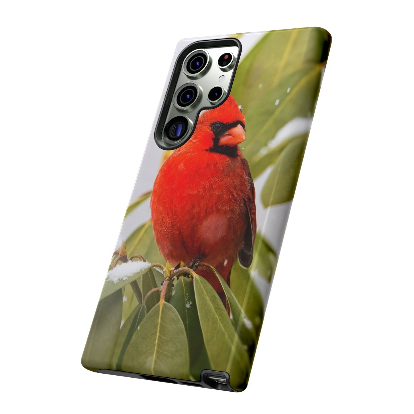 Male Cardinal - Tough Phone Case