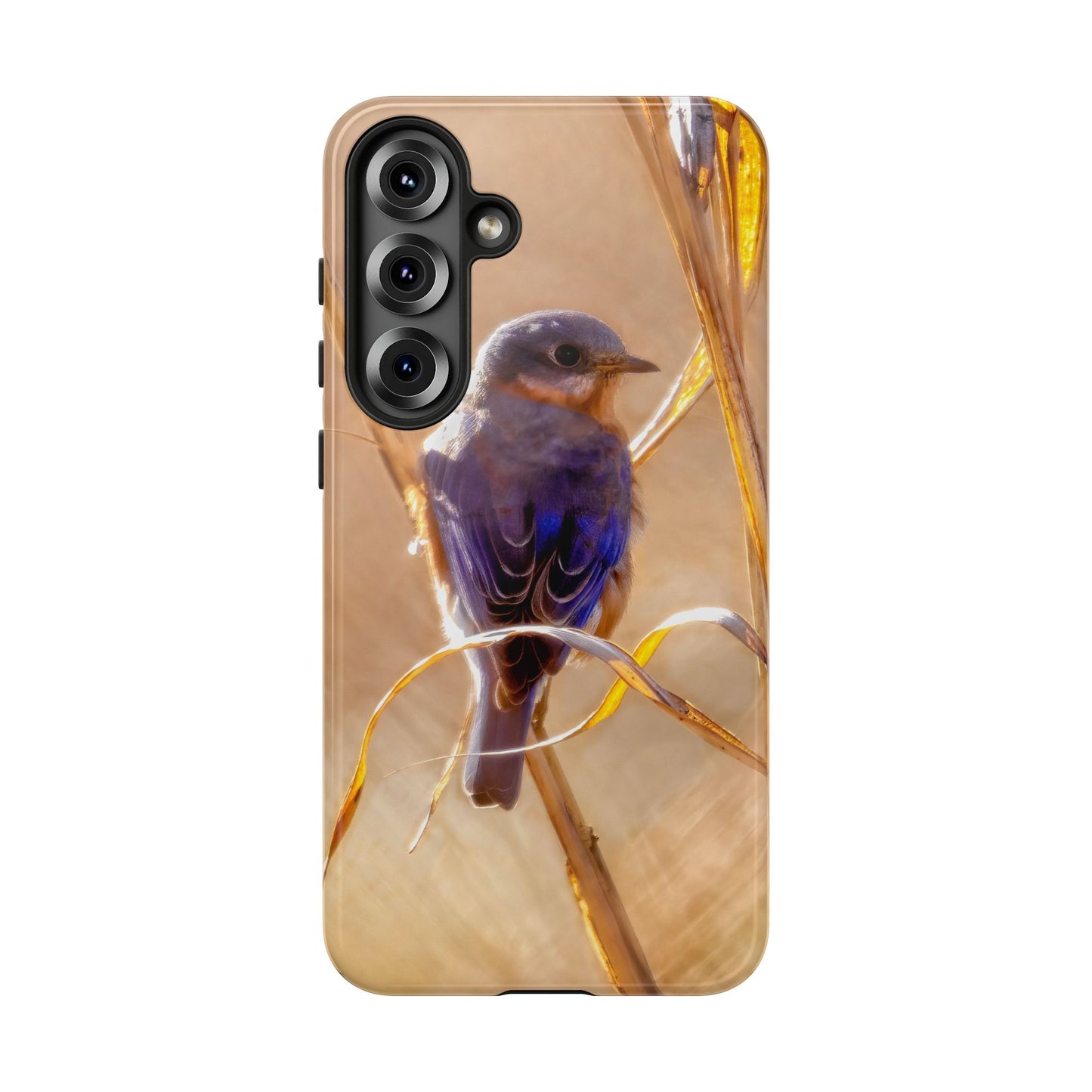 Eastern Bluebird - Tough Phone Case