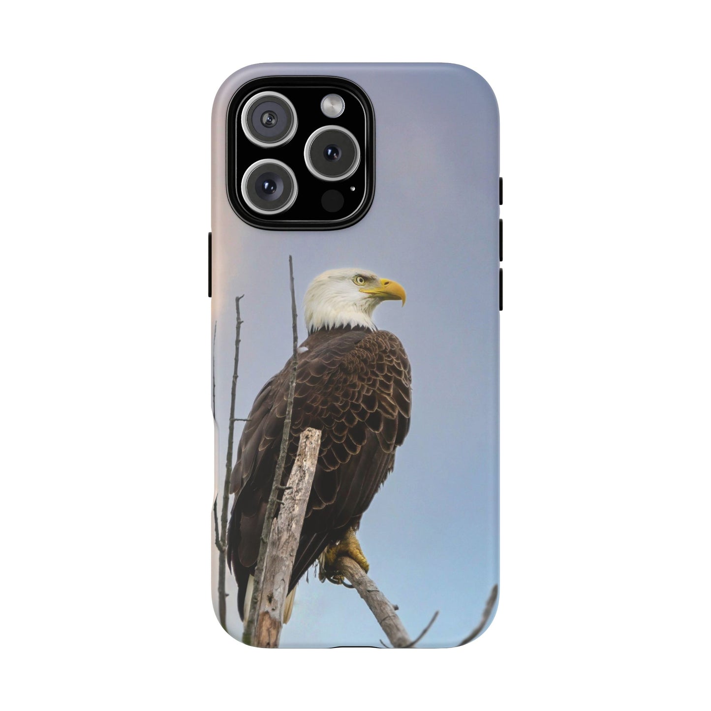 American Bald Eagle - Tough Phone Case