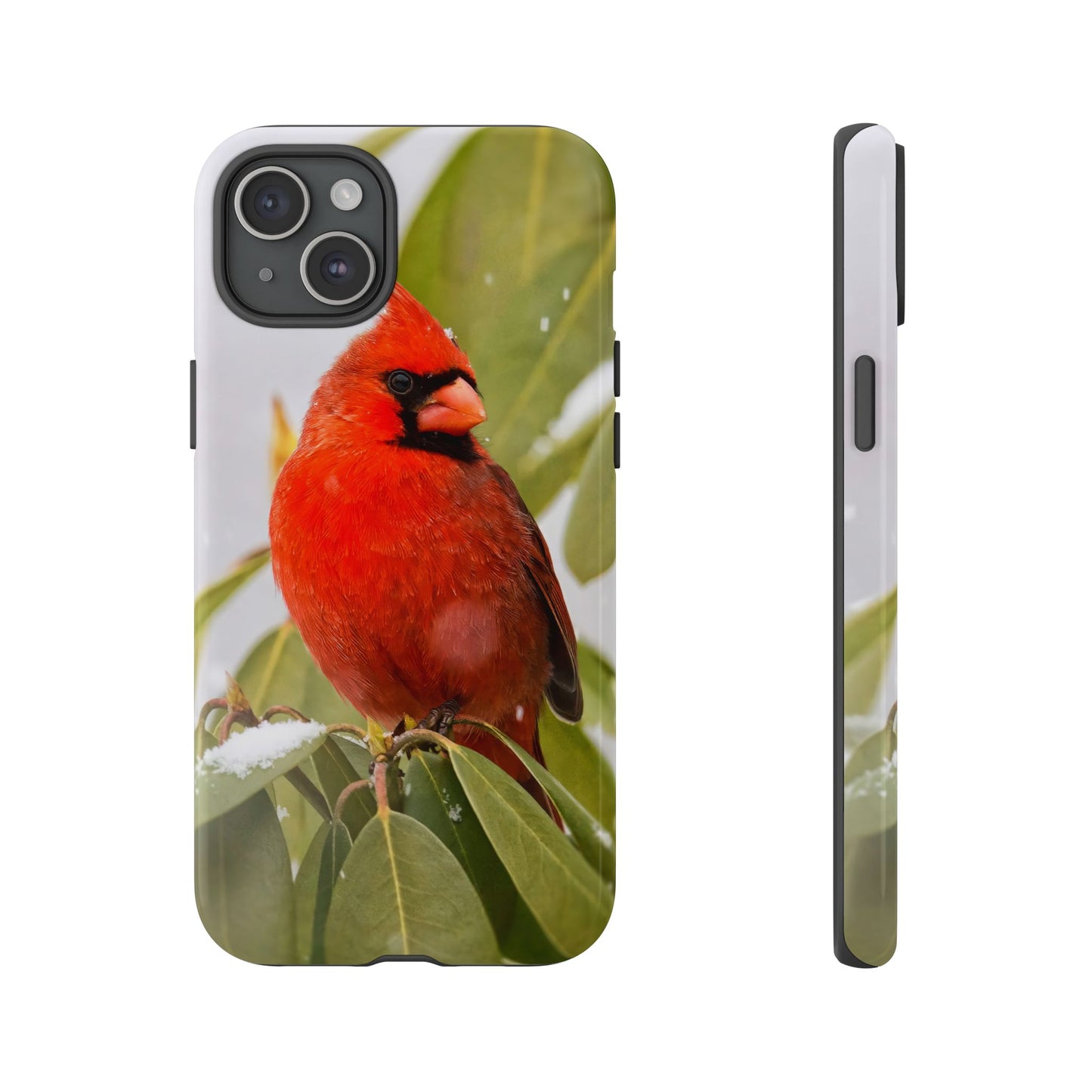 Male Cardinal - Tough Phone Case