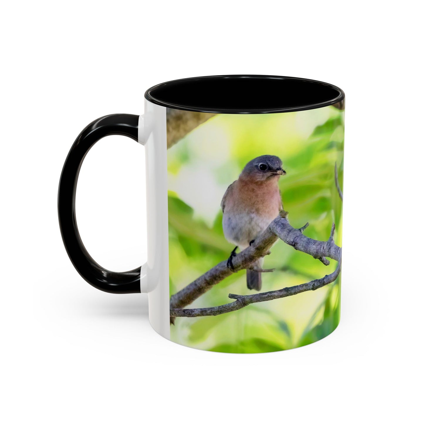 Bluebird pair - Variable color interior mug