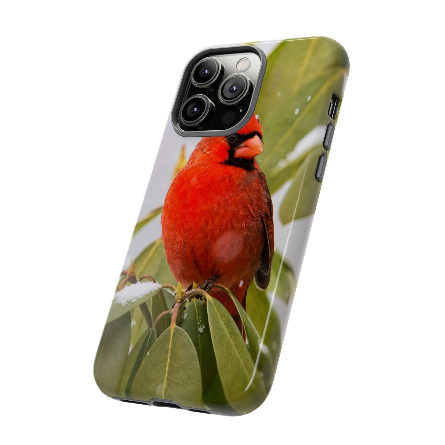 Male Cardinal - Tough Phone Case
