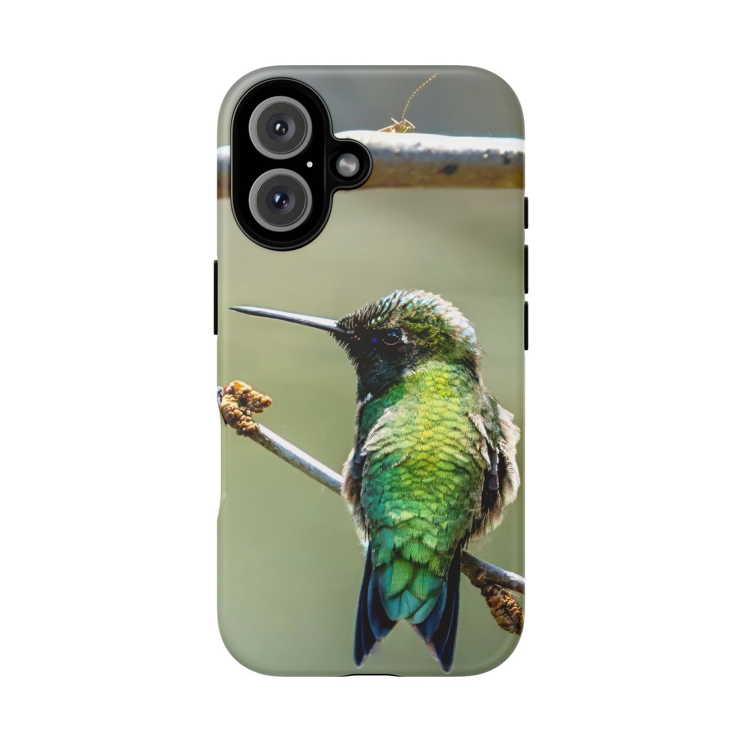 Hummingbird - Tough Phone Case