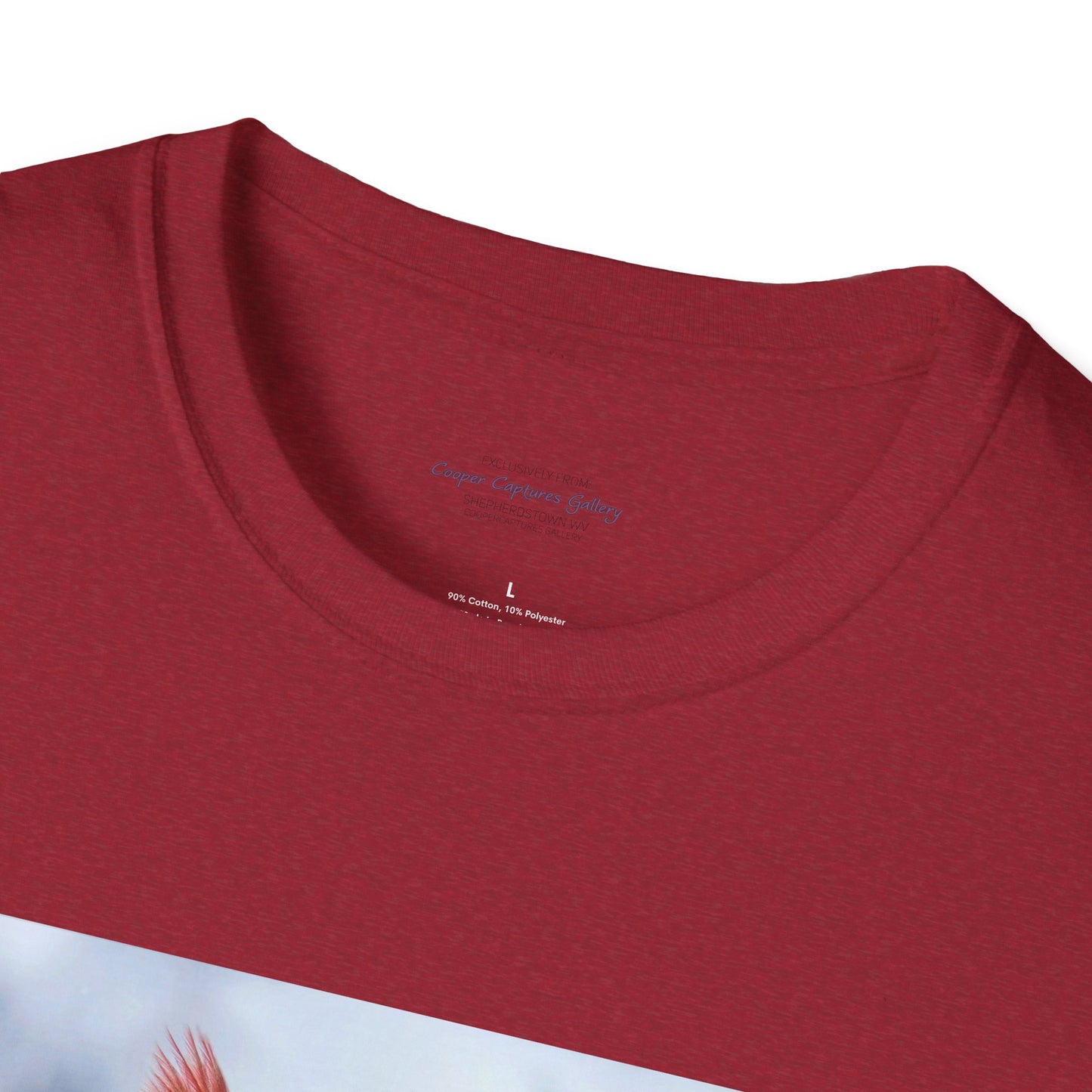 Cardinal Pair's "Snowy Chat" - T-shirt