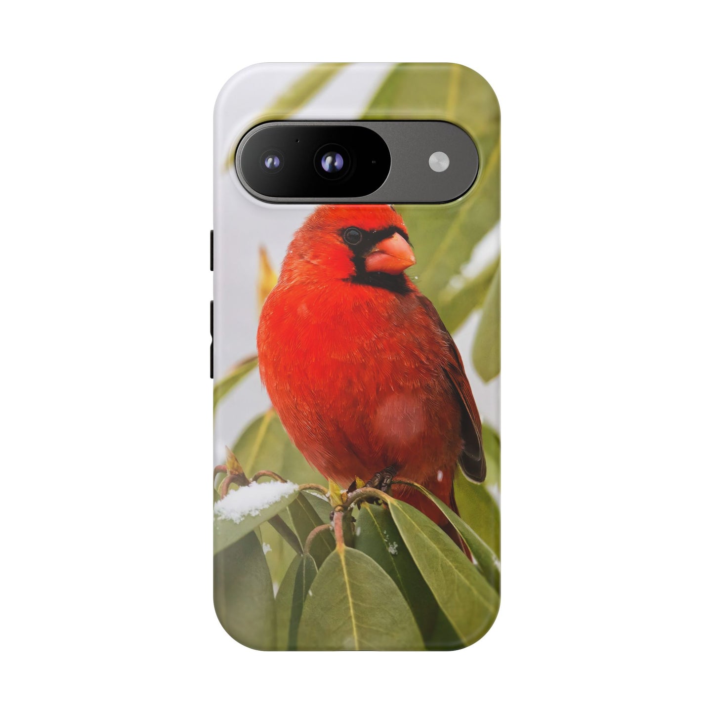 Male Cardinal - Tough Phone Case