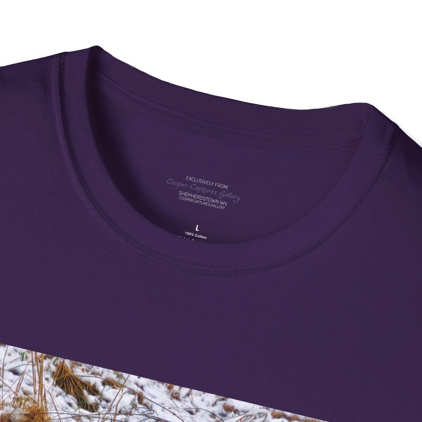 Red Fox in the snow, resting - T-shirt