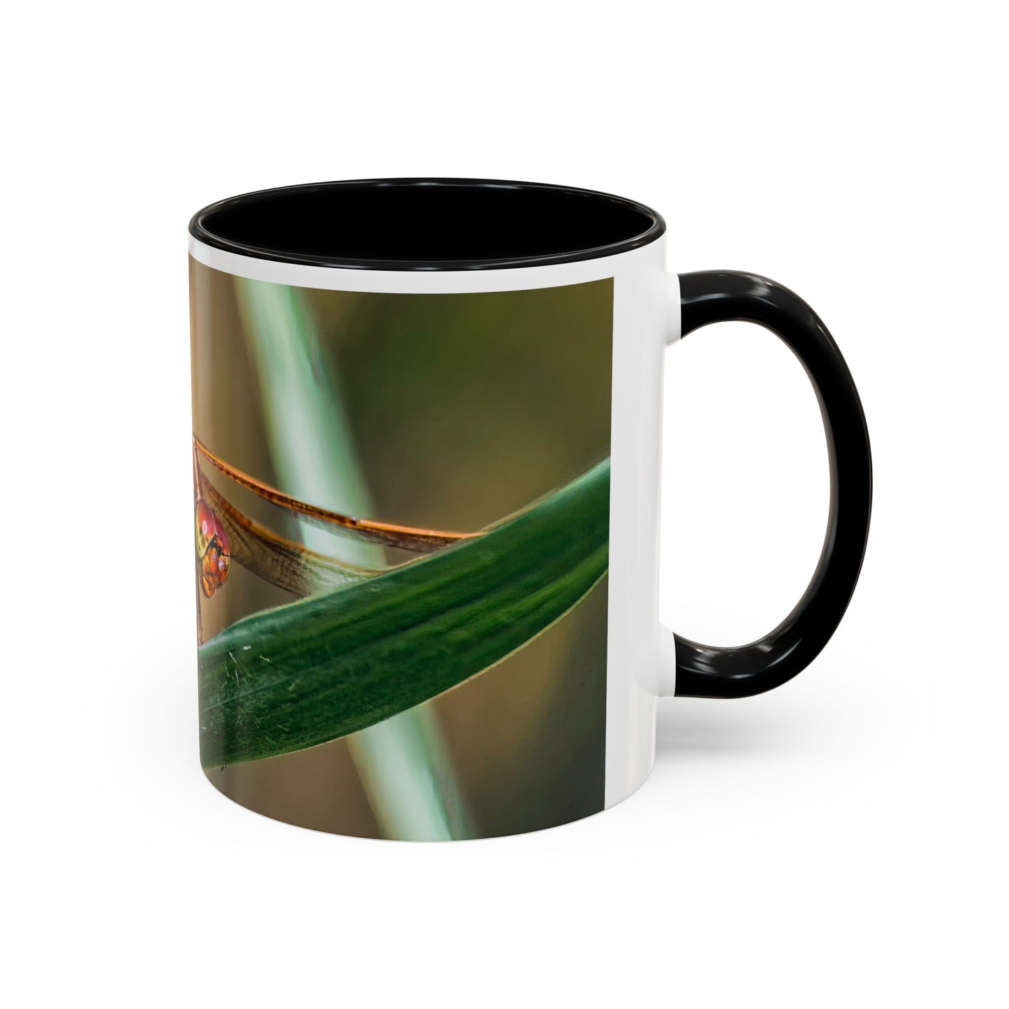 Dragonfly - Variable interior color mug