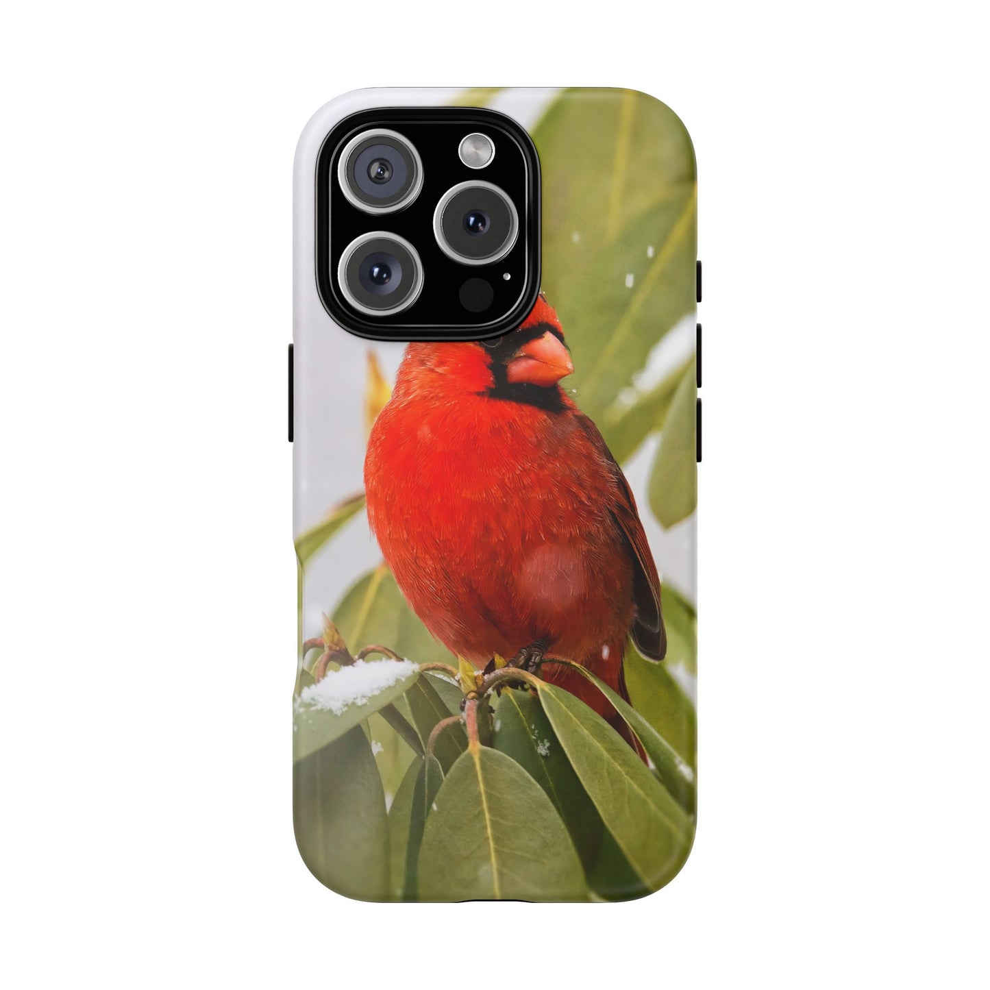 Male Cardinal - Tough Phone Case