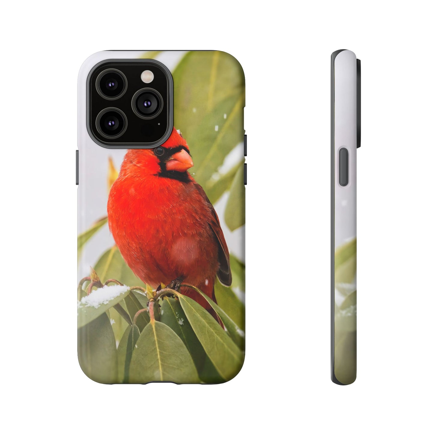 Male Cardinal - Tough Phone Case