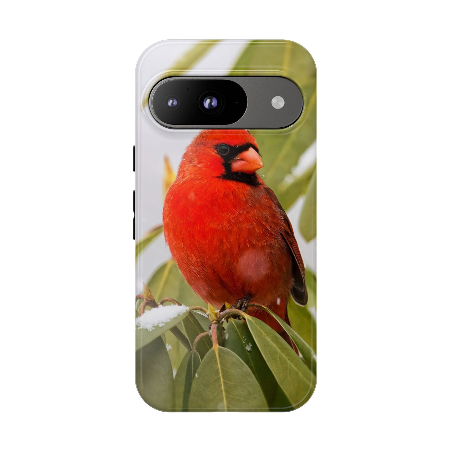 Male Cardinal - Tough Phone Case