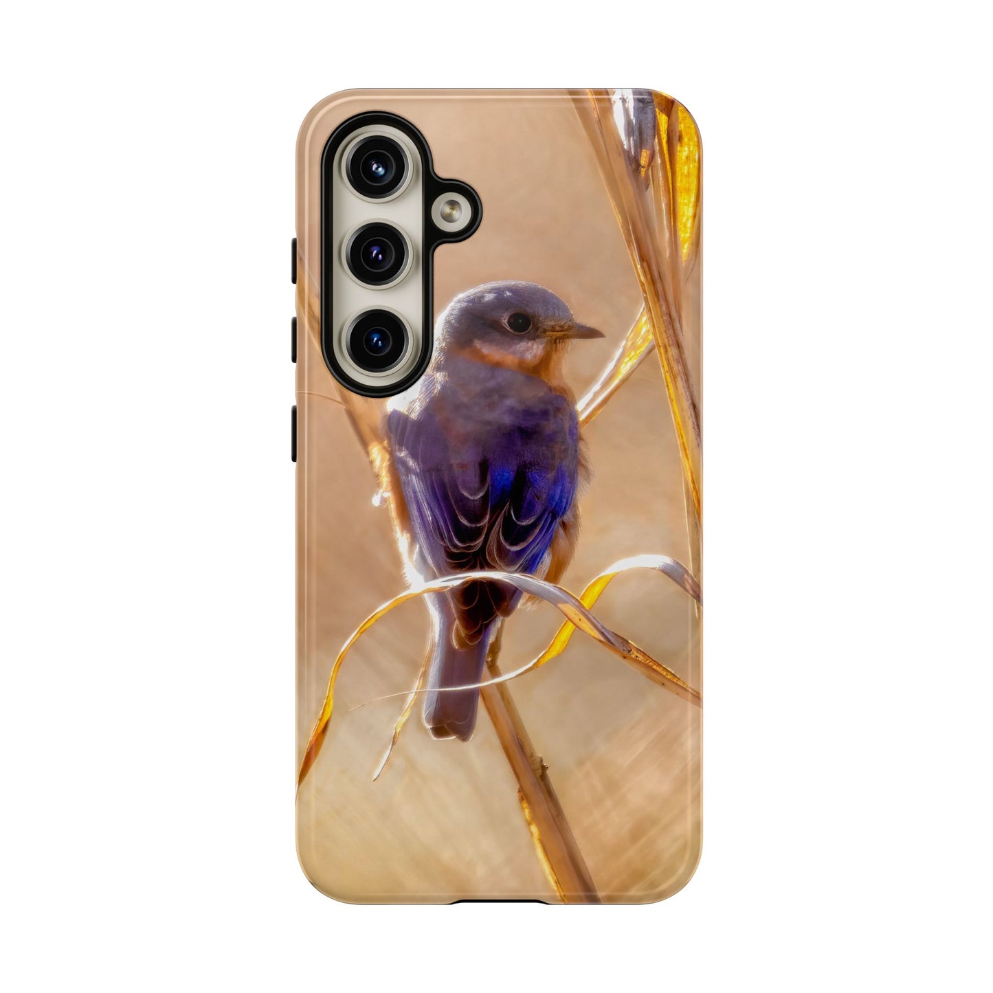 Eastern Bluebird - Tough Phone Case