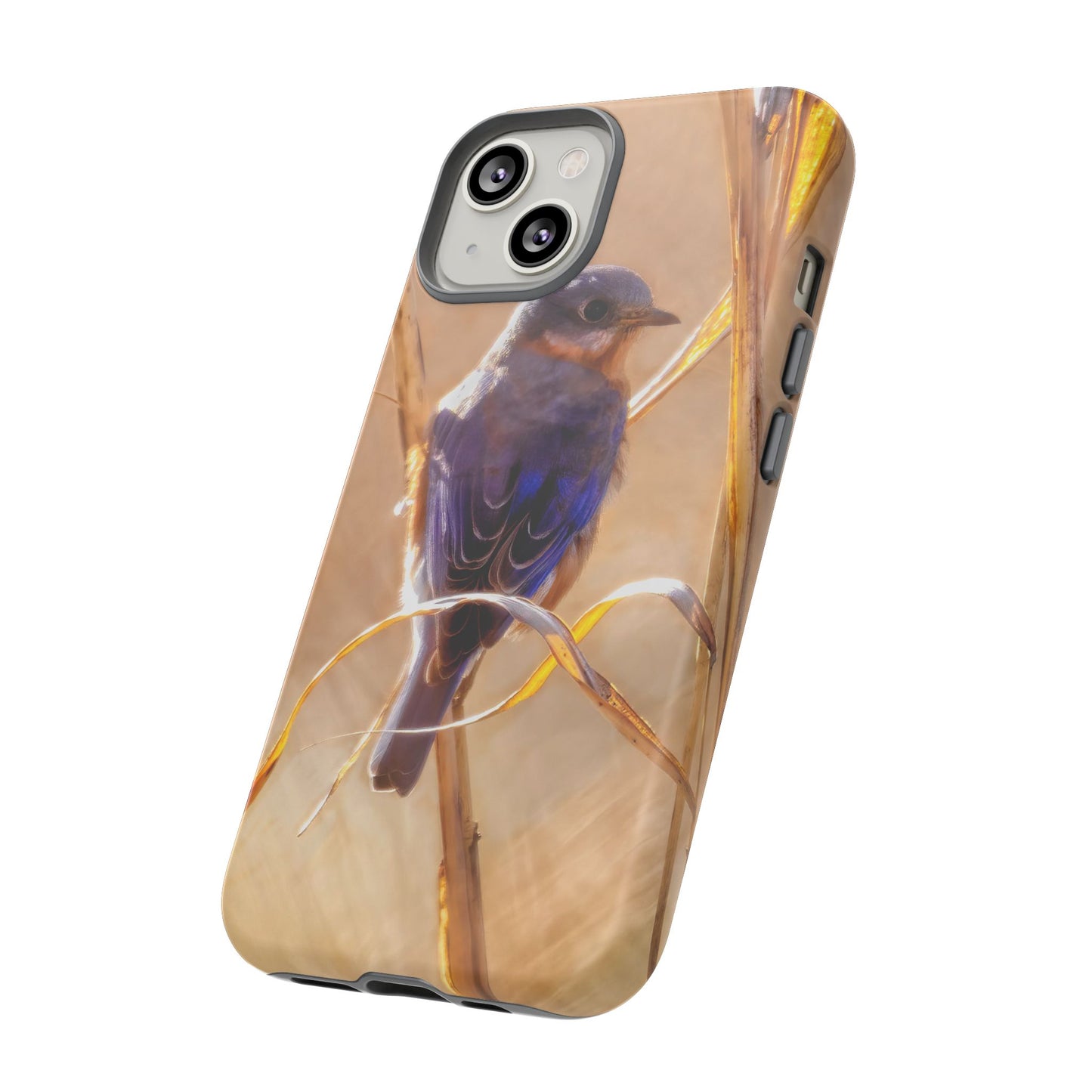 Eastern Bluebird - Tough Phone Case