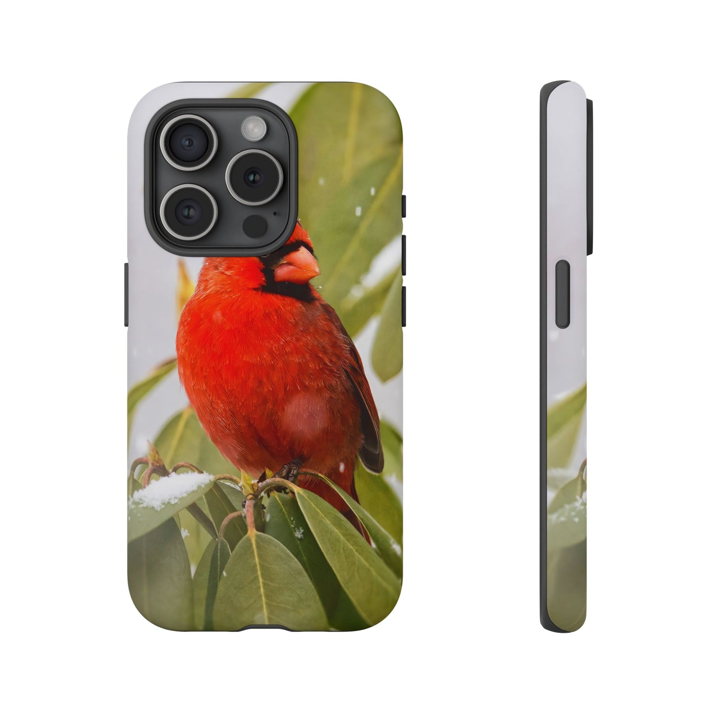 Male Cardinal - Tough Phone Case