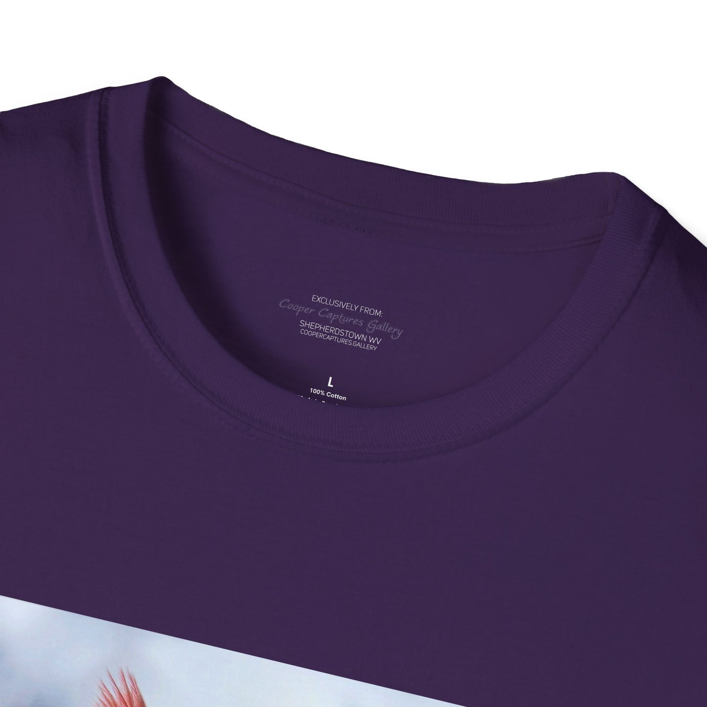 Cardinal Pair's "Snowy Chat" - T-shirt