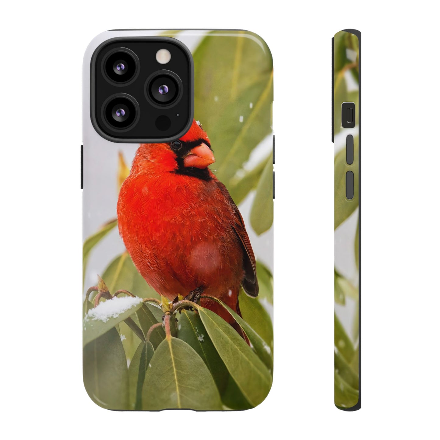 Male Cardinal - Tough Phone Case