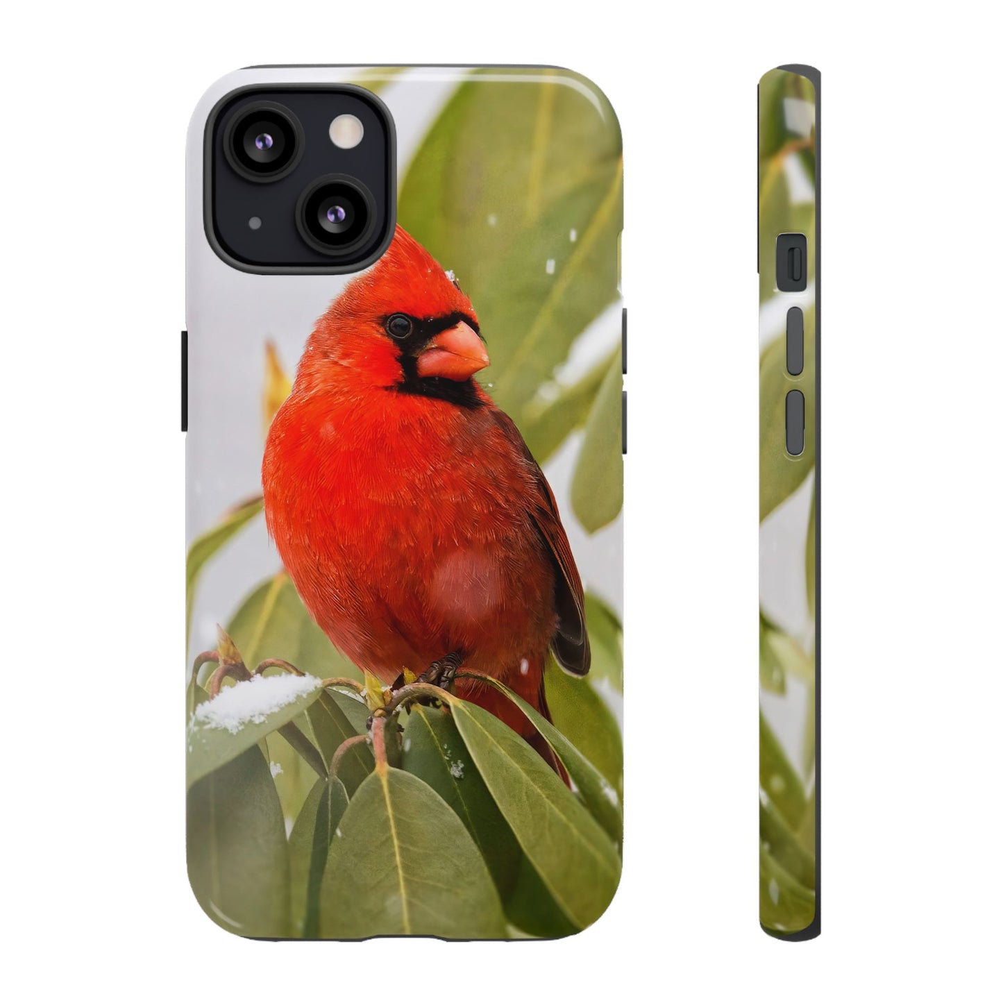 Male Cardinal - Tough Phone Case