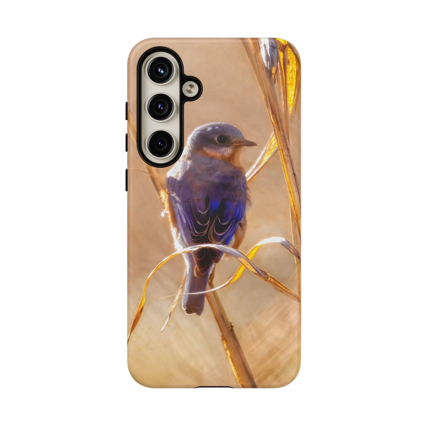 Eastern Bluebird - Tough Phone Case