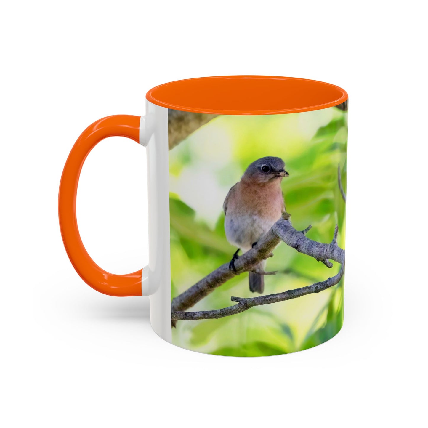 Bluebird pair - Variable color interior mug