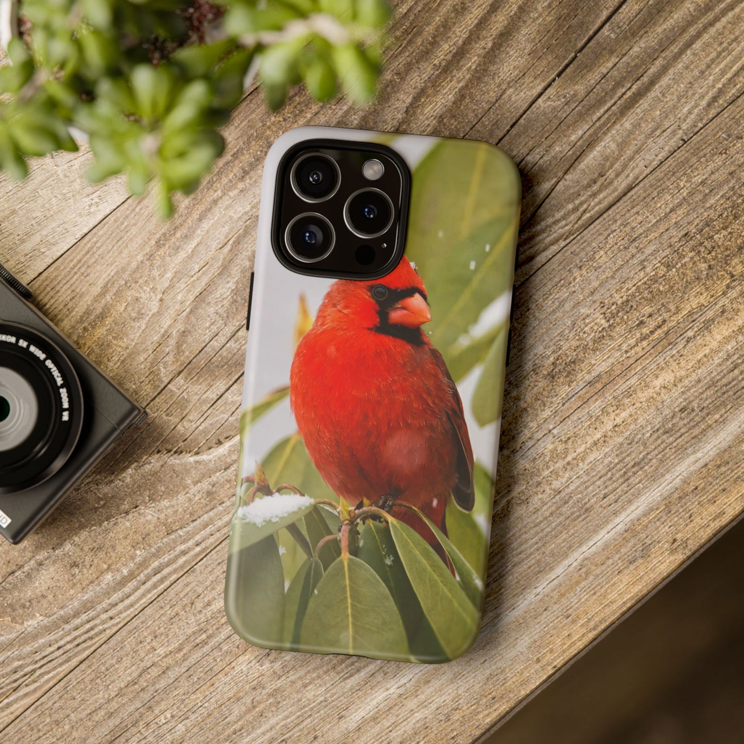Male Cardinal - Tough Phone Case