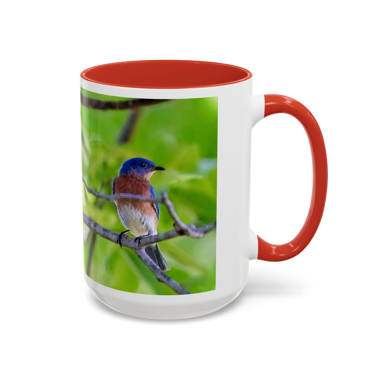 Bluebird pair - Variable color interior mug