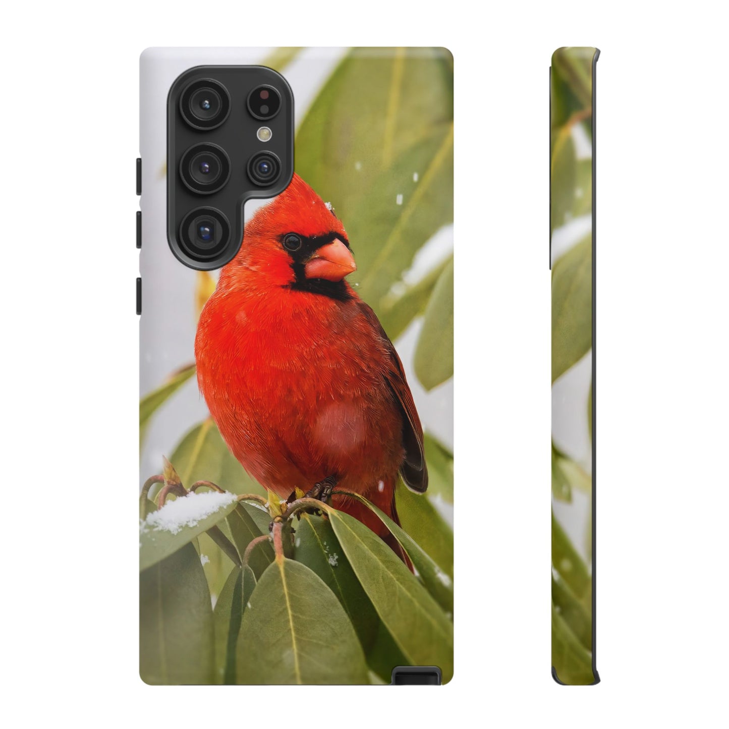 Male Cardinal - Tough Phone Case