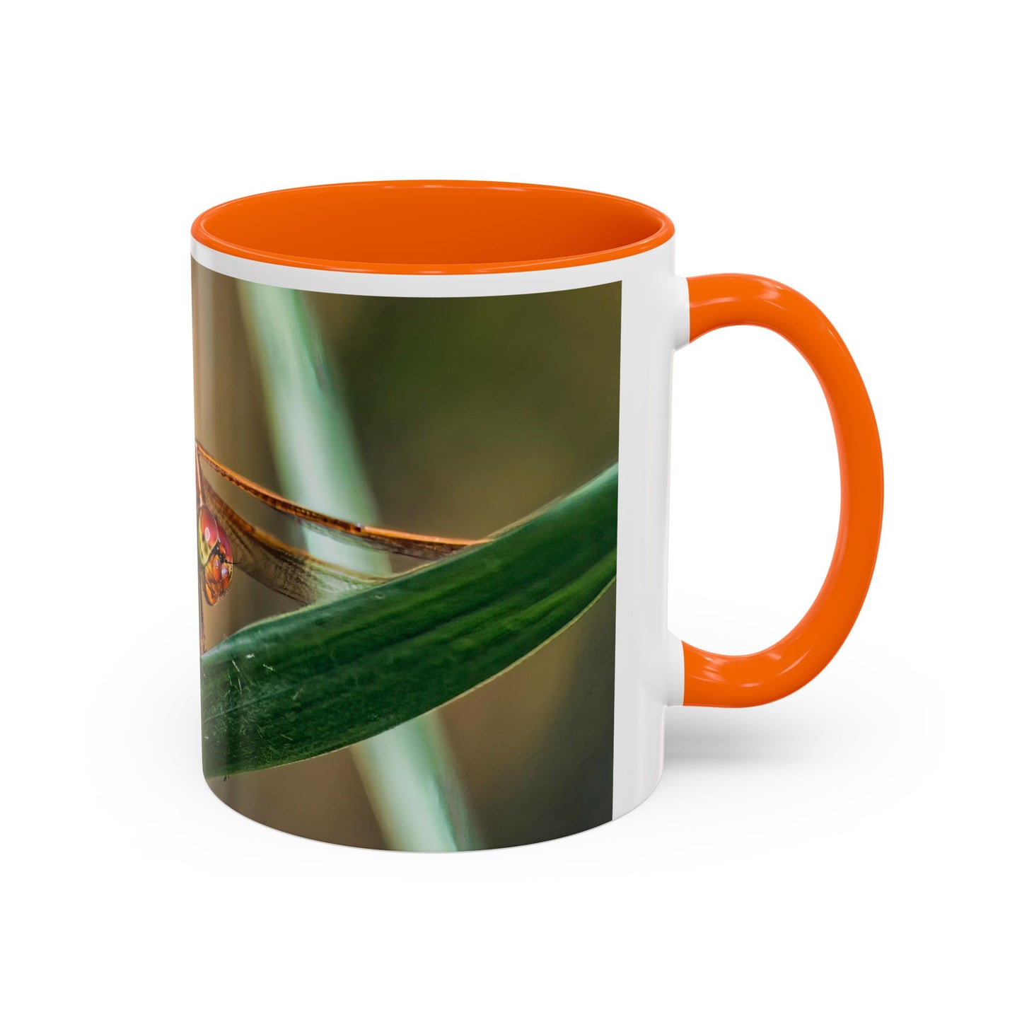Dragonfly - Variable interior color mug