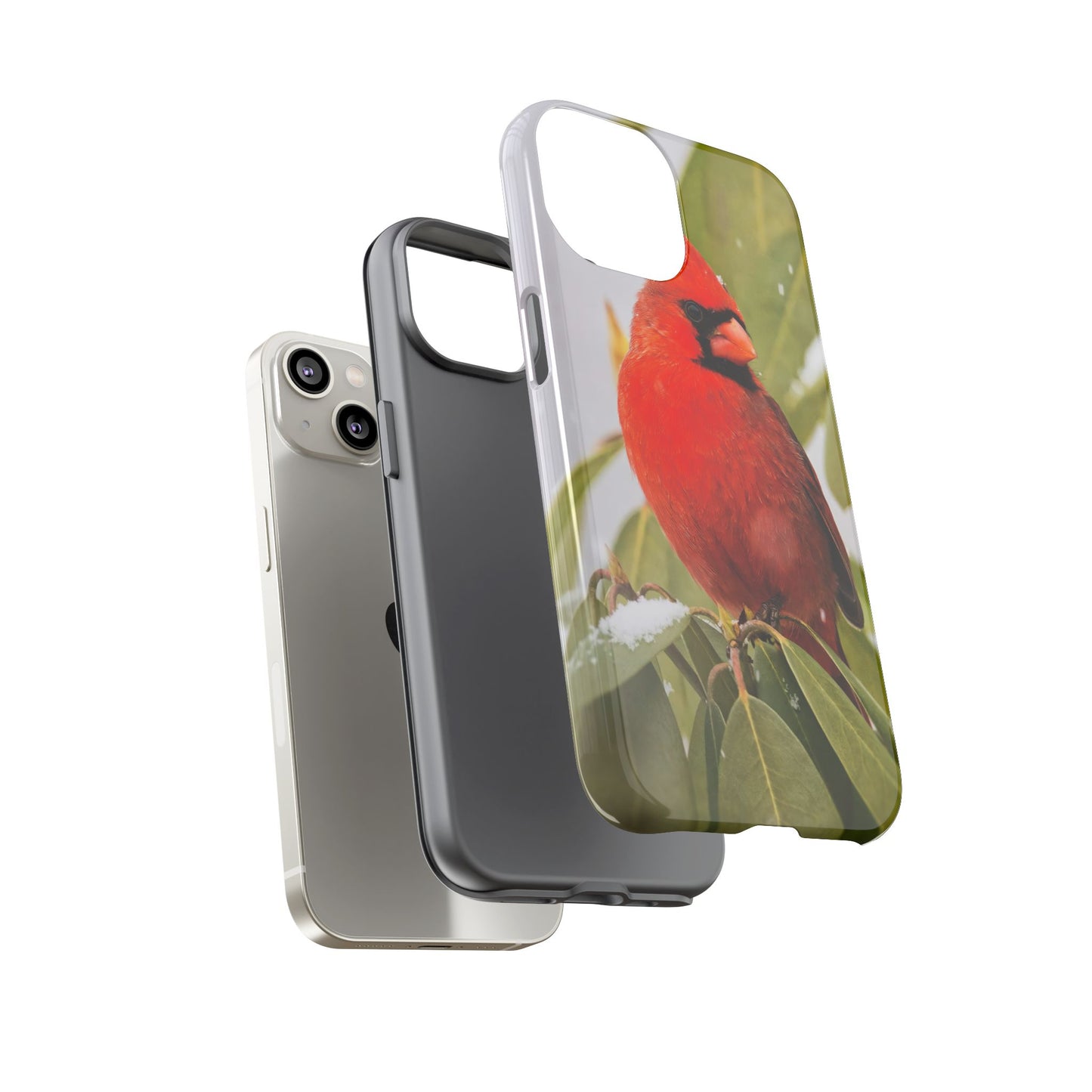 Male Cardinal - Tough Phone Case