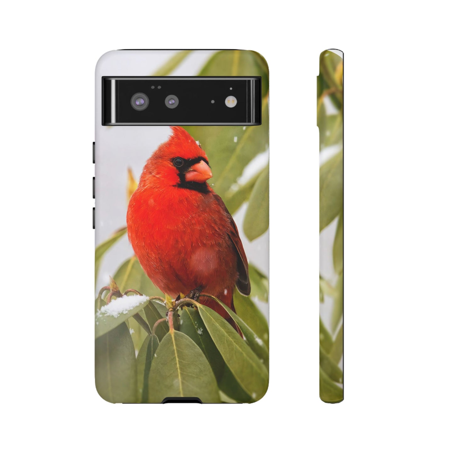 Male Cardinal - Tough Phone Case