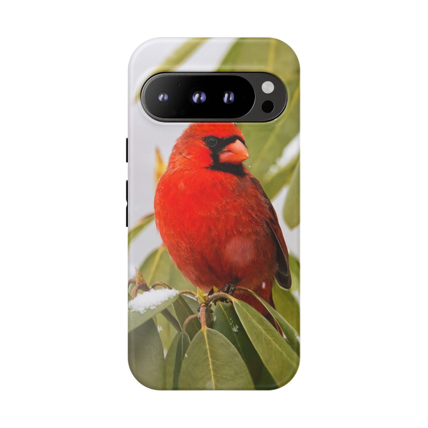 Male Cardinal - Tough Phone Case