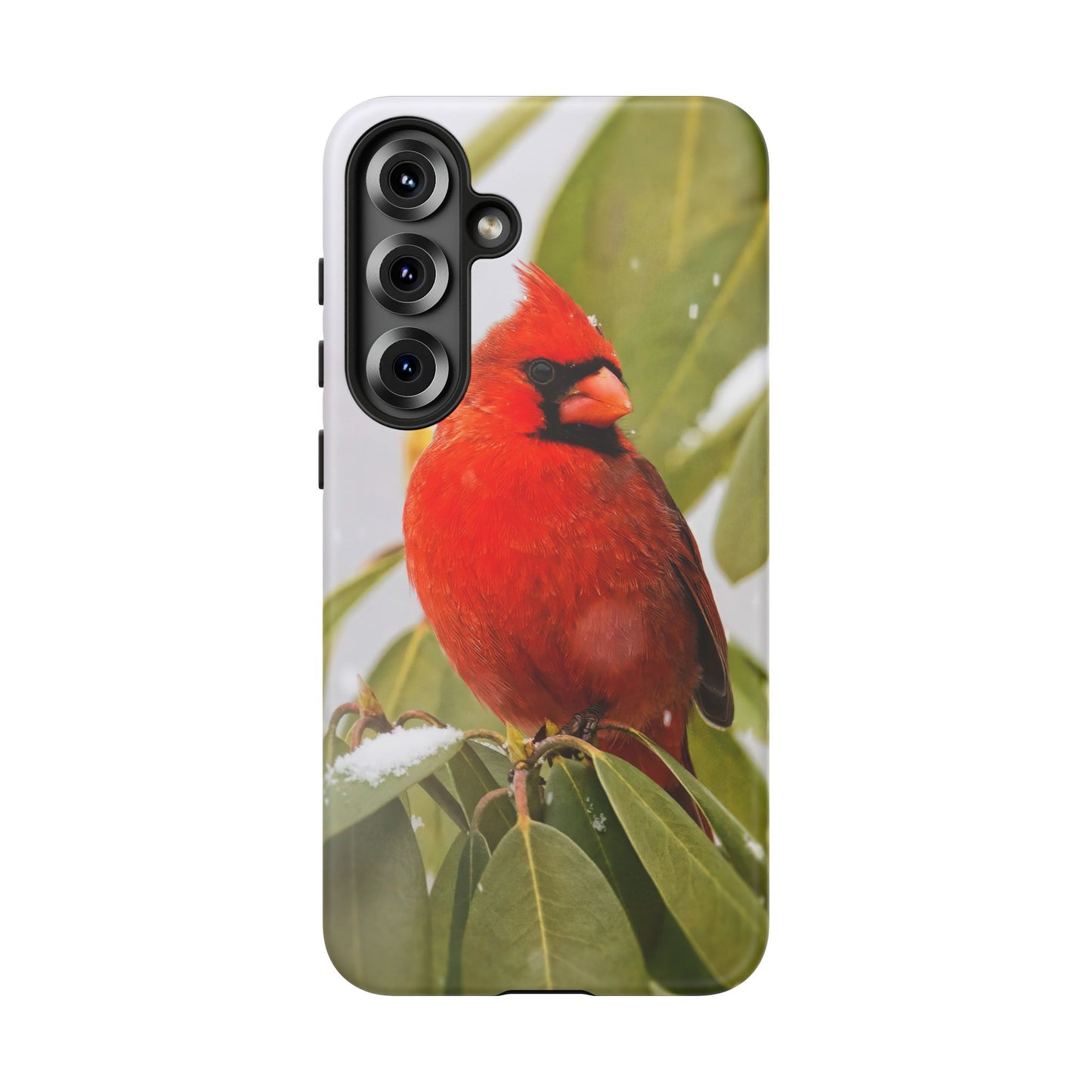 Male Cardinal - Tough Phone Case