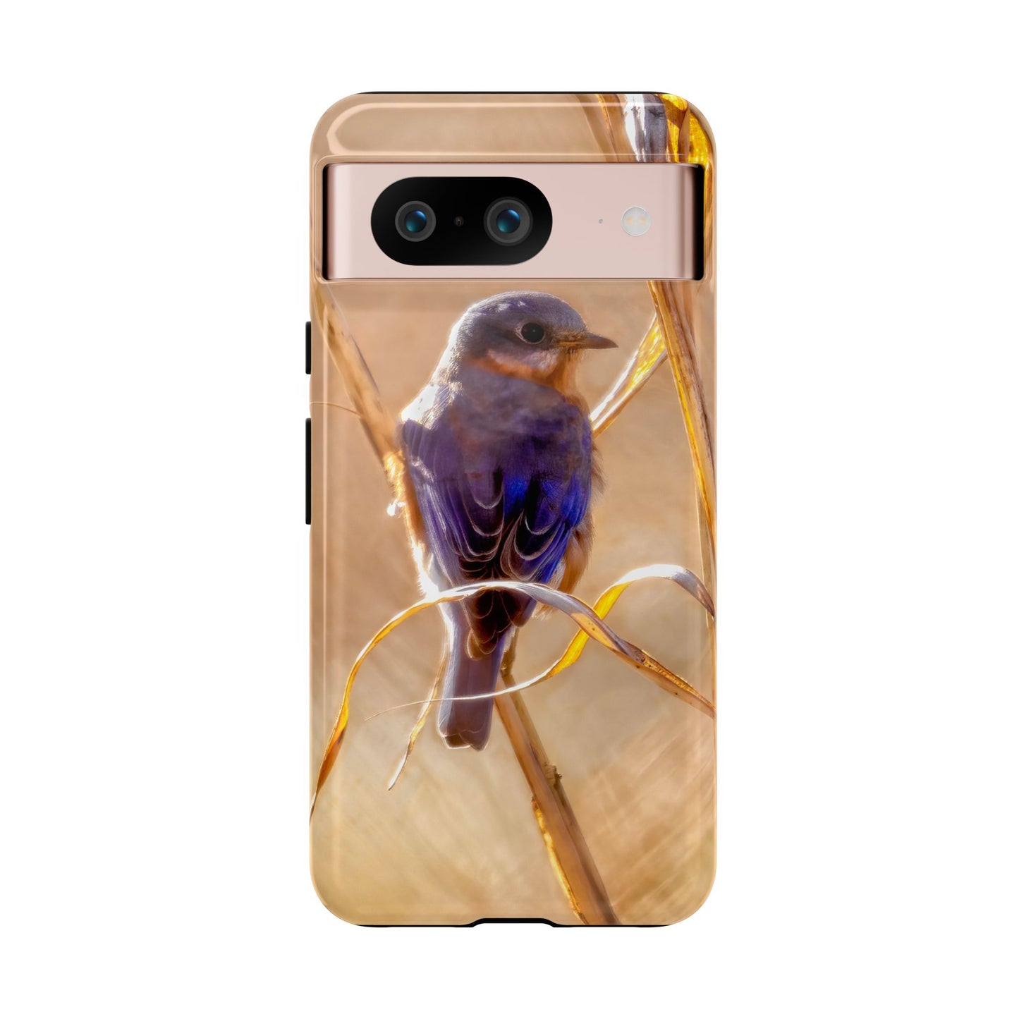 Eastern Bluebird - Tough Phone Case