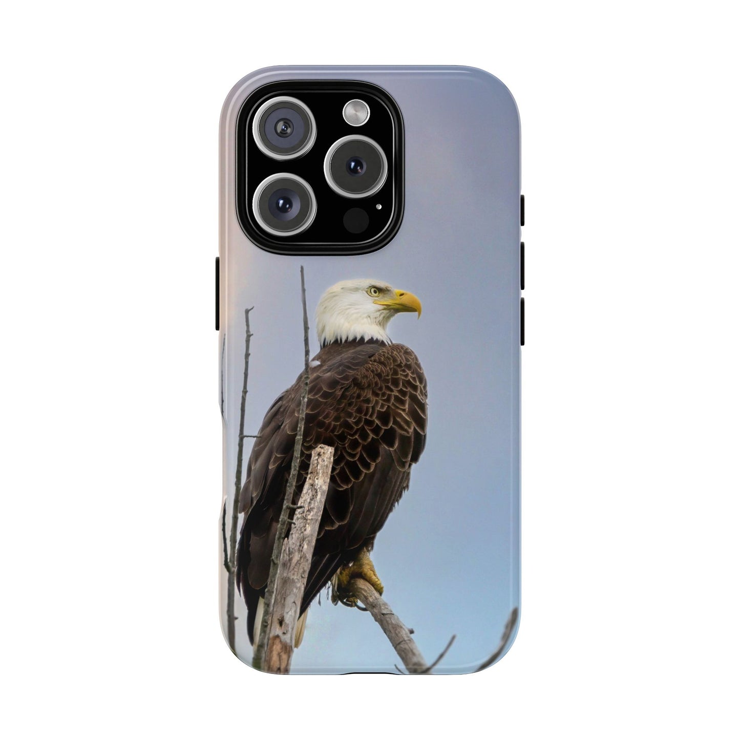 American Bald Eagle - Tough Phone Case