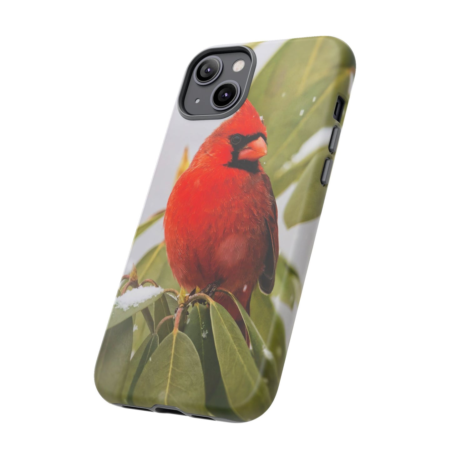 Male Cardinal - Tough Phone Case