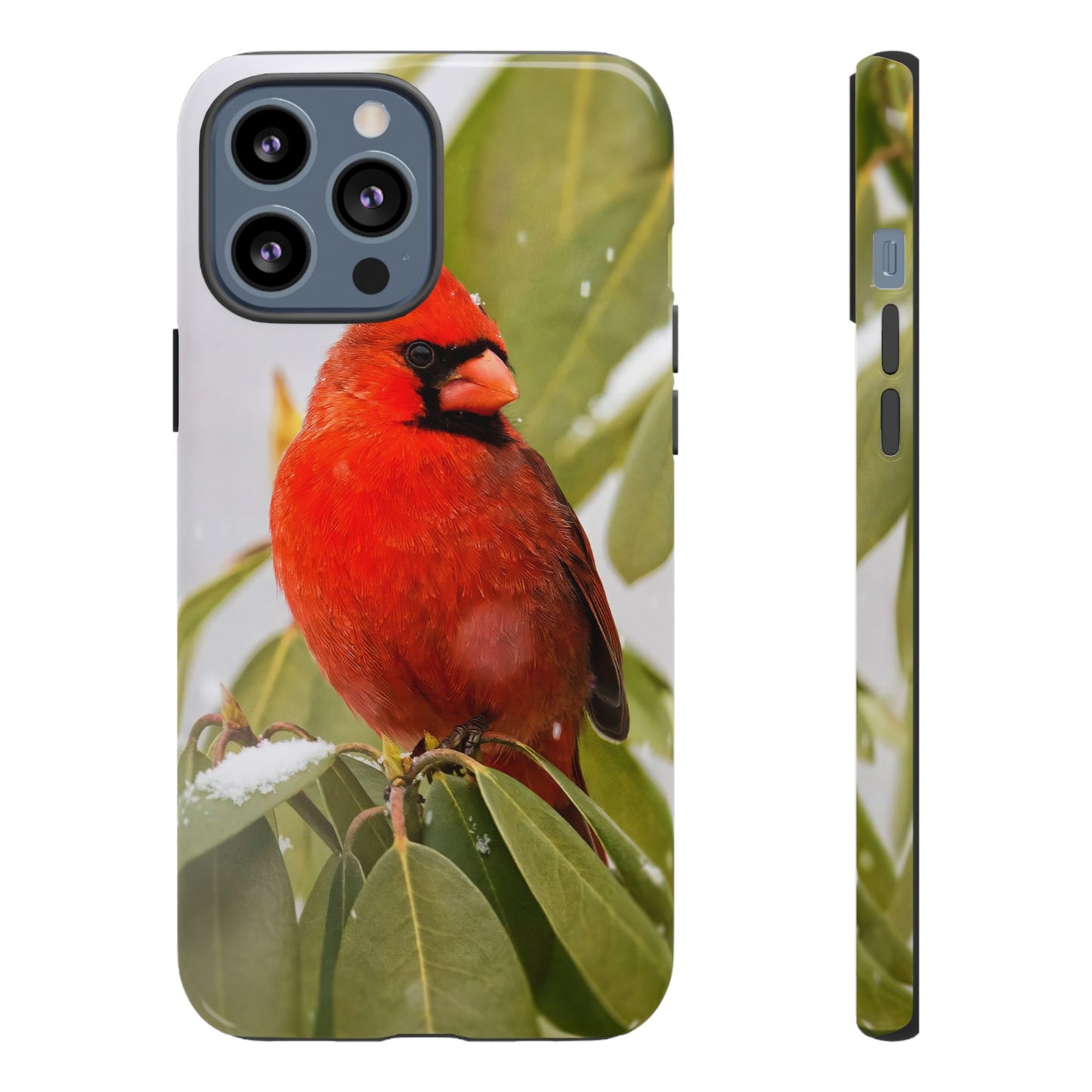 Male Cardinal - Tough Phone Case