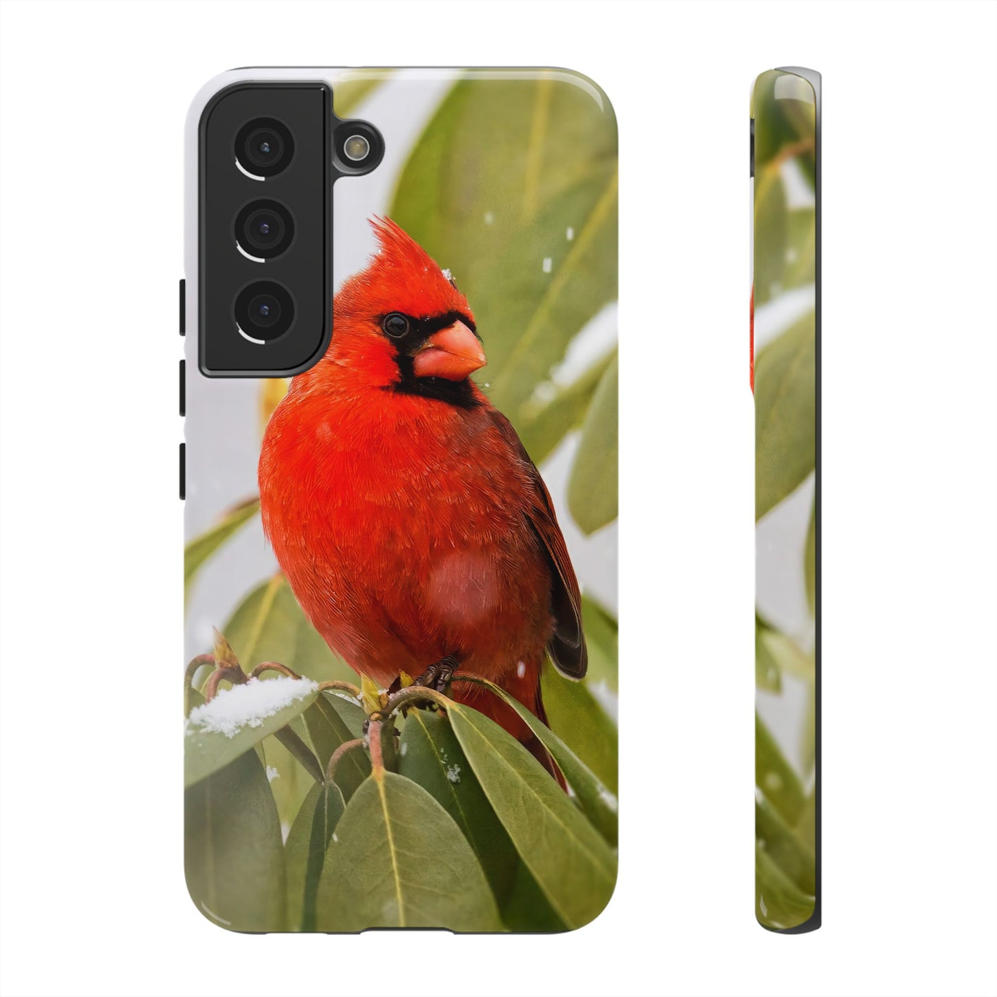 Male Cardinal - Tough Phone Case