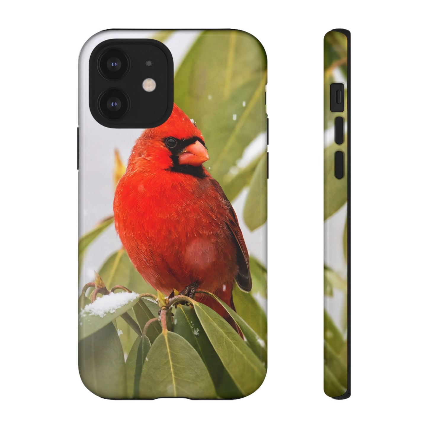 Male Cardinal - Tough Phone Case