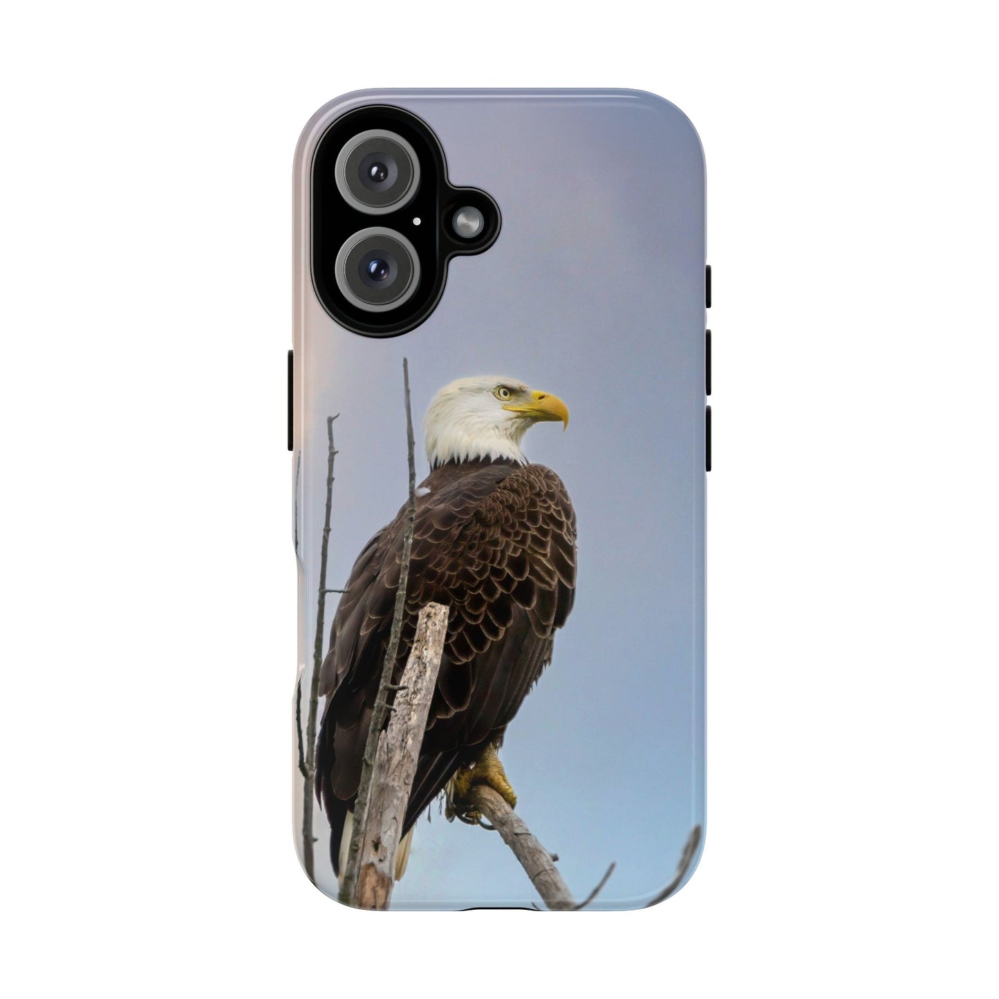 American Bald Eagle - Tough Phone Case