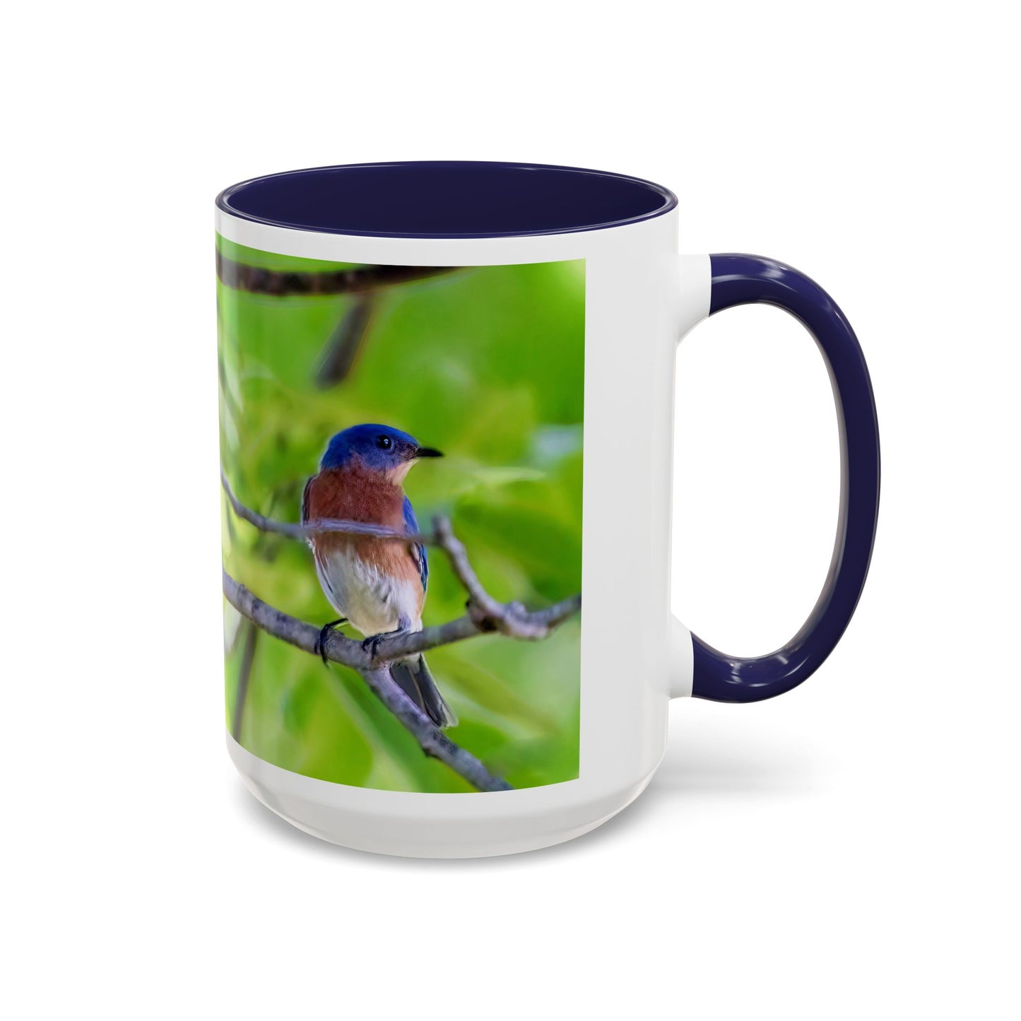 Bluebird pair - Variable color interior mug