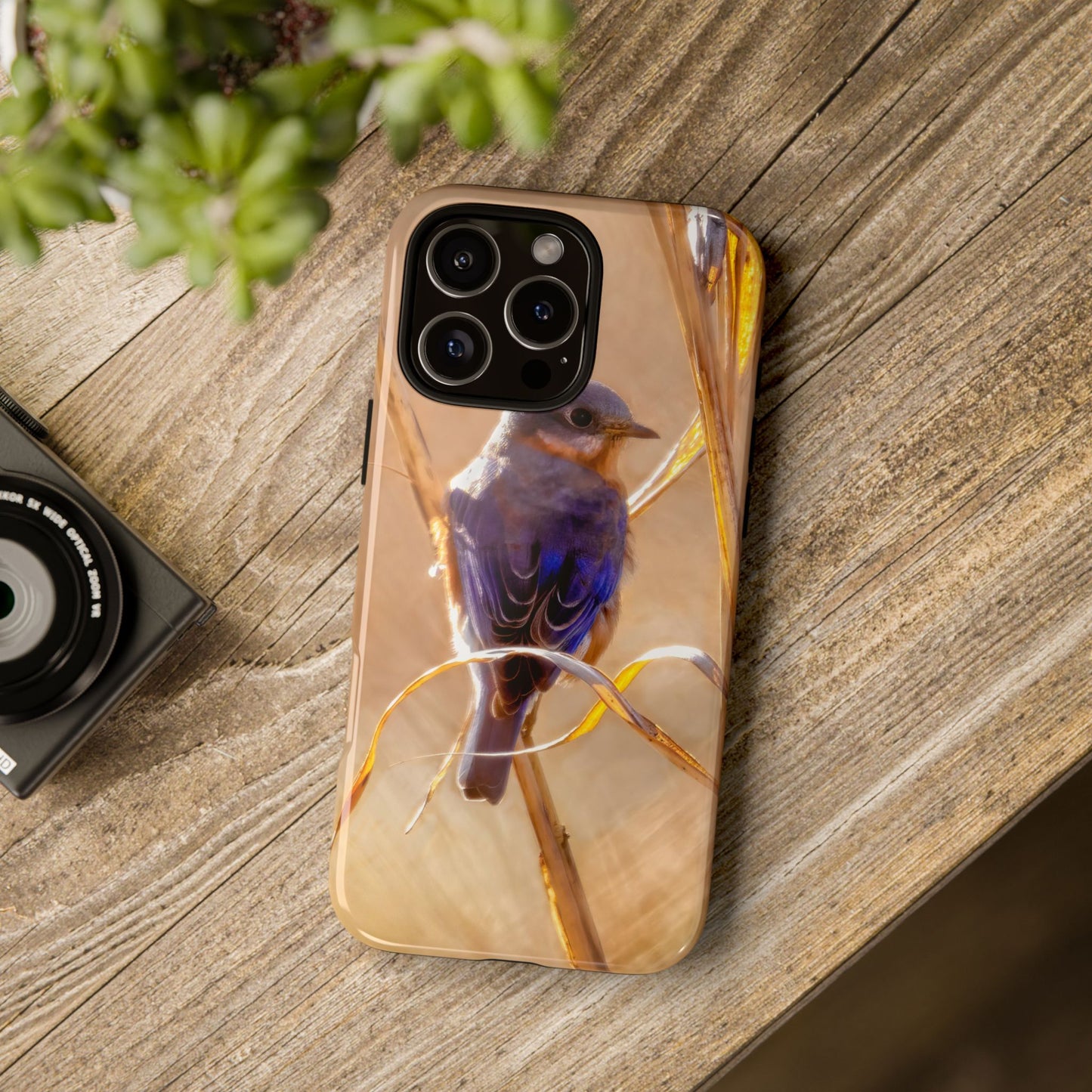 Eastern Bluebird - Tough Phone Case