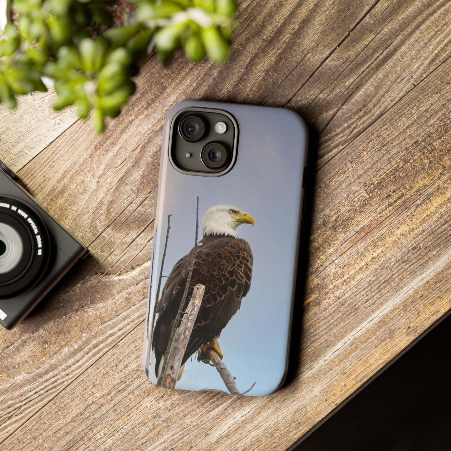 American Bald Eagle - Tough Phone Case